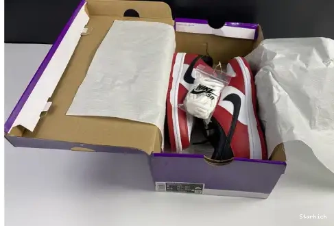 SB BQ6817-600 J-Pack Low Dunk Nike Chicago 0517